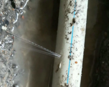 市中卫生间测漏水多少钱
