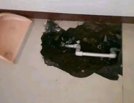 市中卫生间测漏水多少钱